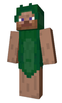 Minecraft skin Radiagon