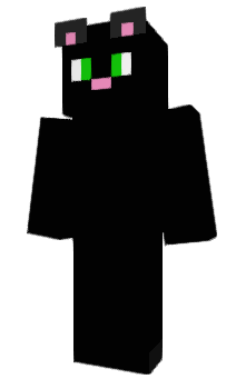 Minecraft скін по ніку apollocat