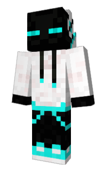 Minecraft skin AMER2007