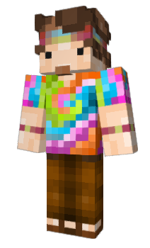 Minecraft skin GoFundMe