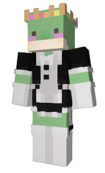 Minecraft skin waishu