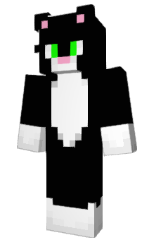 Minecraft скін по ніку Dymeng