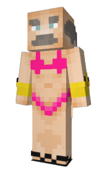 Minecraft skin Damsie