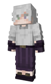 Minecraft skin Dimopay