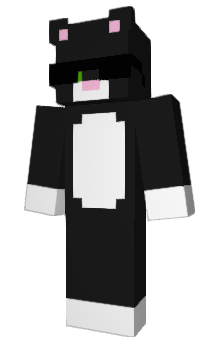 Minecraft skin StelLive