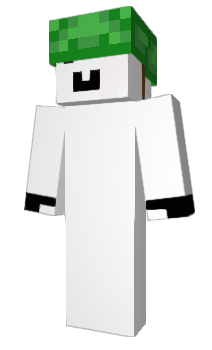 Minecraft skin 20165