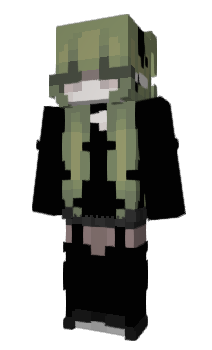 Minecraft skin ProNim