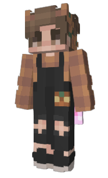 Minecraft skin zl2314