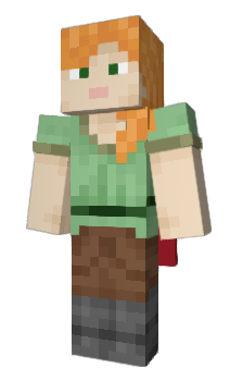 Minecraft skin DDSW