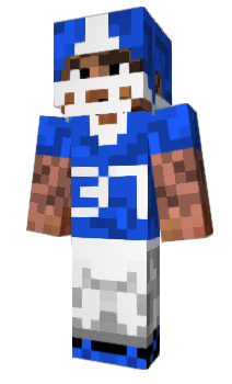 Minecraft skin Athletes