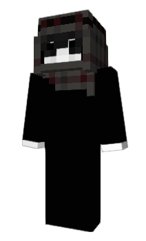 Minecraft skin rrww