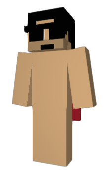 Minecraft skin _witt