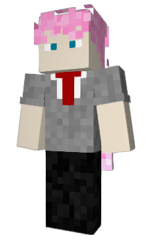 Poki - Minecraft skin (64x64, Steve)