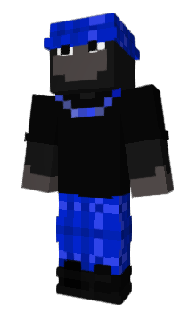 Minecraft skin Cojet