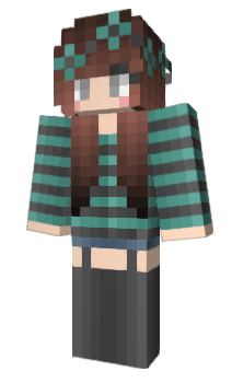 Minecraft skin nincar