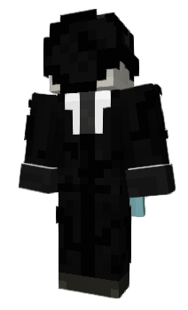 Minecraft skin v312