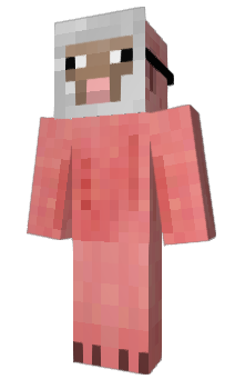 Minecraft skin zorroman