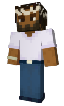 Minecraft skin Pollq