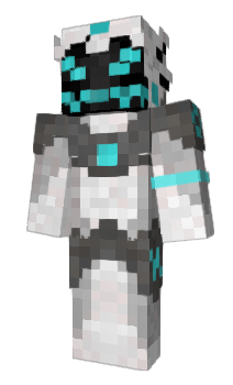 Minecraft skin donkybag