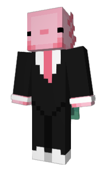 Minecraft skin Apect