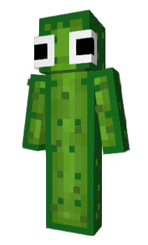 Minecraft skin PICKLETEN