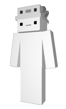 Minecraft skin minetoch