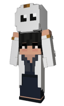 Minecraft skin kingpran