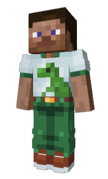 Minecraft skin Flagor