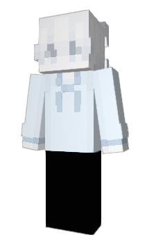 Minecraft skin 2473