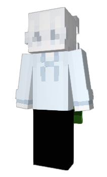 Minecraft skin 2473