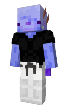 Minecraft skin CondeJeiner