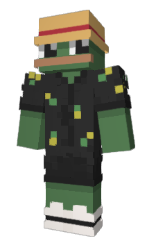 Minecraft skin voidende