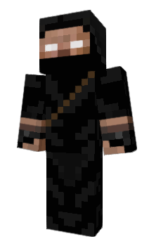 Minecraft skin TerinW