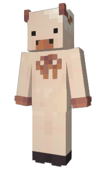 Minecraft skin retro_inej