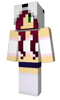 Minecraft скін по ніку Erkant