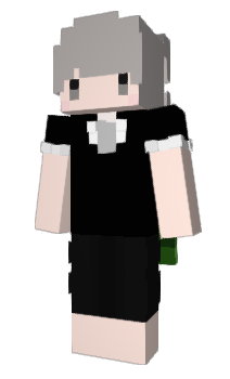 Minecraft skin Ru1_Zzz