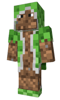 Minecraft скін по ніку QQmap