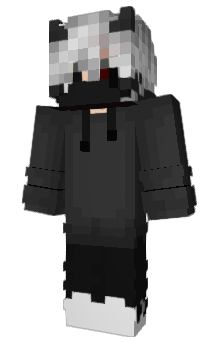 Minecraft skin Litry