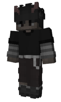 Minecraft skin Caserr