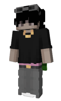 Minecraft skin zmysl