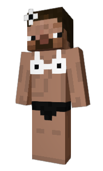 Minecraft skin bikhari