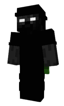 Minecraft skin vDidi