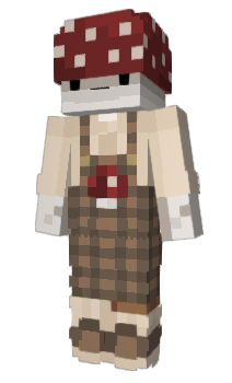 Minecraft skin akmola