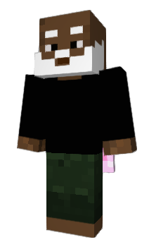 Minecraft skin DonRui