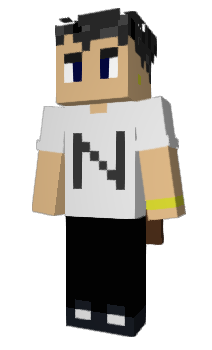 Minecraft skin NaviTV