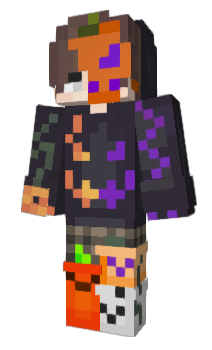 Minecraft skin hagole