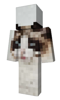 Minecraft skin Gorrf