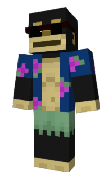 Minecraft skin Coaie