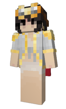 Minecraft skin Robloc