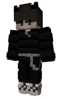 Minecraft skin polisler
